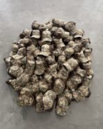 AKIMBO DRI DUCK® CAP - REALTREE® CAMO - Image 9